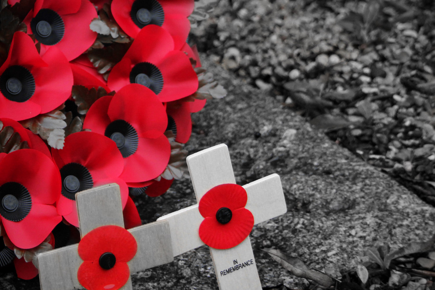 Remembrance 2010 005