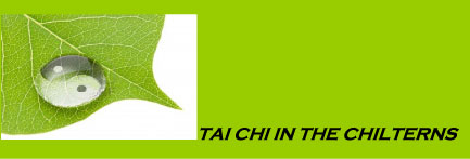 Tai Chi Logo