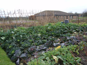 view of allotments