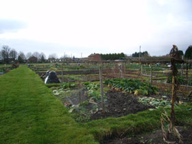 view of allotments